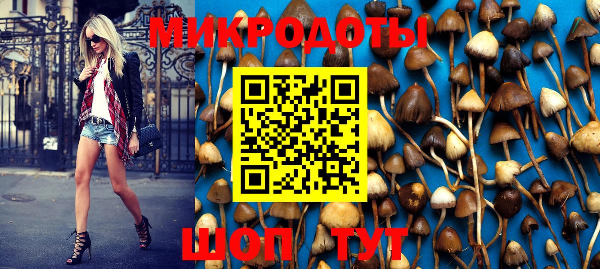 Псилоцибиновые грибы MAGIC MUSHROOMS Каменка