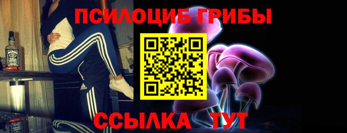 Галлюциногенные грибы Psilocybe  Галлюциногенные грибы Cubensis  где найти   Каменка  Вход с VPN 